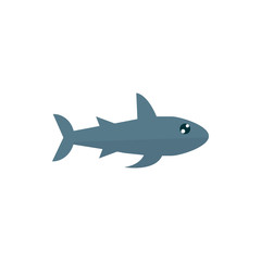 marine life, predatory shark cartoon sea fauna animal