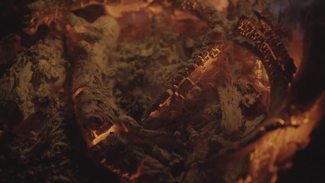ashes burning in a forest during the night