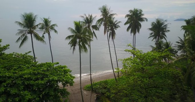 drone flyng through palm trees in the philippines by the sea
