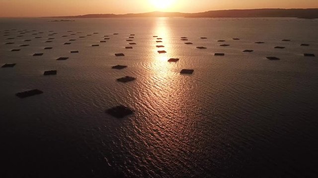 Drone view over mussels bats at sunset in Spain. Aerial forward