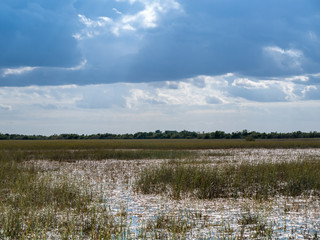 Landscape of Everglades saw grass, water, and  stormy   clouds in Everglades National Park, Florida, USA .