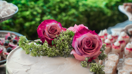 Pink wedding roses