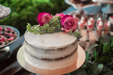 Obraz na płótnie Canvas Cream cake with roses