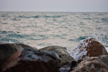 rocks in the sea