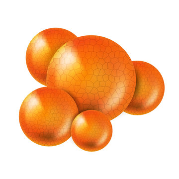 Microbiological Bacterium Sarcina Cocci Vector. Coccus Cells Bacterium Or Archaeon Spherical, Ovoid Or Generally Round Shape. Microbiology Concept Template Realistic 3d Illustration