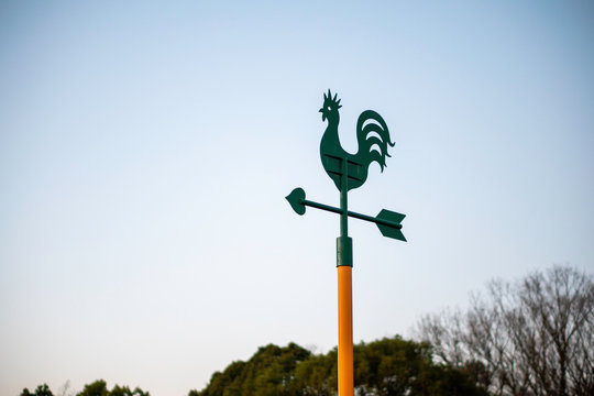 Chicken weathervane, rooster weathervane. Meteorological instrument.