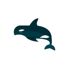marine life, killer whale orca cartoon sea fauna animal