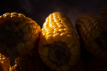 corn on black background