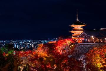 京都　清水寺の三重塔と紅葉　夜景
