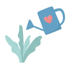 watering can and foliage plants leaves botanical