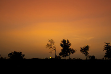 orangy sunset