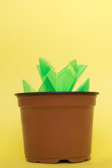 Ecology concept. Plastic flower as succulent.