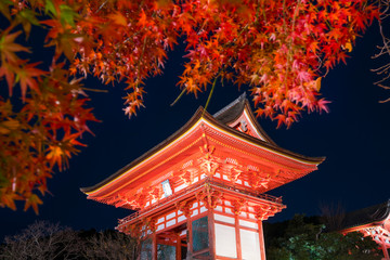 京都　清水寺の仁王門と紅葉　夜景