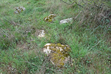 a stone overgrown with lichen and moss lies in the grass