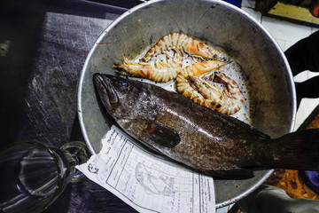 Marsa Matrouh, Egypt Fresh fish and shrimp selected in a restaurant for cooking.