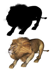 3d male lion