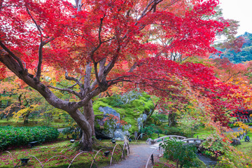 京都　宝厳院（ほうごんいん）の紅葉　天龍寺の塔頭寺院