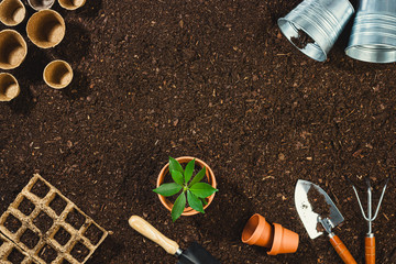 Gardening tools on soil texture background top view.