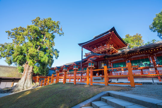 春日大社 Photos Royalty Free Images Graphics Vectors Videos Adobe Stock 春日大社 Photos Royalty Free Images Graphics Vectors Videos Adobe Stock