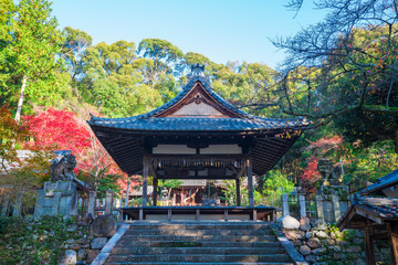 京都　石座神社（いわくらじんじゃ）の紅葉