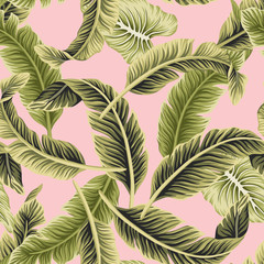 Tropical vintage vector green banana leaves floral seamless pattern pink background. Exotic jungle wallpaper.