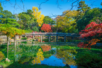 京都御苑の九條池　紅葉