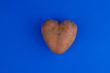 Ugly potato in the heart shape on a classic blue background. Unnormal vegetable or food waste concept.