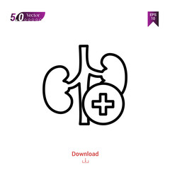 Outline kidney icon. kidney icon vector isolated on white background. Graphic design, material-design, healthcare icons, mobile application, logo, user interface. EPS 10 format vector