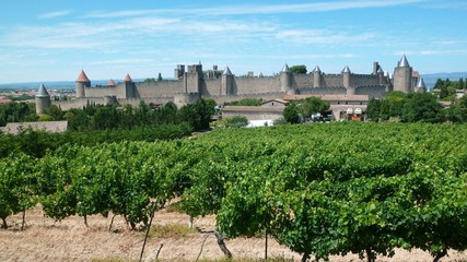 Fototapeta na wymiar Panorama sur le vignoble autour de la cité de Carcassonne (France)