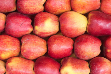 Stacked Arranged Group Of Kashmiri Healthy Red Sev Seb Apple