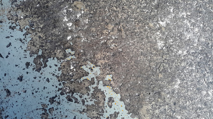 Background texture of cement floor