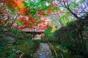 Obraz premium 京都 厭離庵（えんりあん）の紅葉 