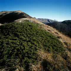 APPENNINO TOSCO EMILIANO | MAB UNESCO