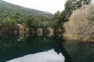 Obraz premium Picturesque view of mountain dam and pine forest on a misty day
