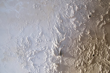 Mold Growth On White Surface