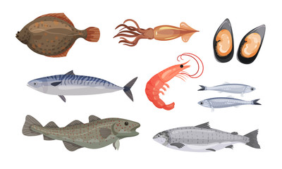 Raw and Uncooked Seafood Vector Set. Fresh Marine Products for Market