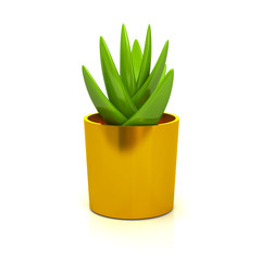 Succulent in golden Plant Pot Icon 3d Illustration isolated on white background