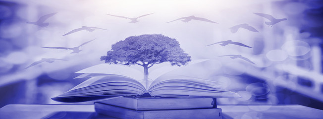 The concept of education by planting a tree of knowledge in the opening of an old book in the library and the magical magic of light that flies to the destination of success. Beautiful background