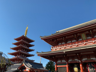 Tokyo, Japan - November 2019: Asakusa shrine (temple) and its area