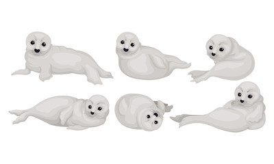 White Playful Fur Seal Lying and Rolling Vector Illustrations Set