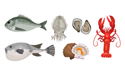 Raw and Uncooked Seafood Vector Set. Fresh Marine Products for Market