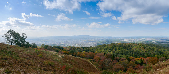 Beautiful Nara mountain at Nara city, Japan. Nara park is a famous place landmark to see wild animals deer