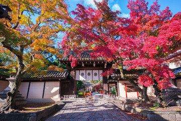 京都　今宮神社の東門　紅葉