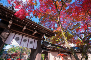 京都　今宮神社の東門　紅葉