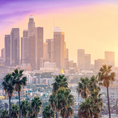 Fototapeta na wymiar Amazing sunset view with palm tree and downtown Los Angeles. California, USA