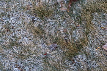 winter background. frost on the grass tinted