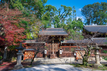 Obraz premium 京都 今宮神社の疫社と紅葉 