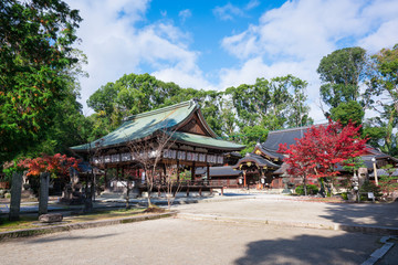 Fototapeta na wymiar 京都　今宮神社の紅葉　
