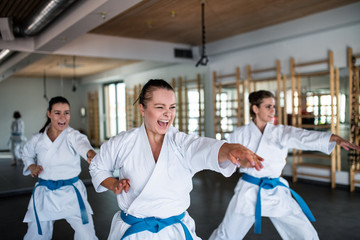 Obraz premium Group of young women practising karate indoors in gym.