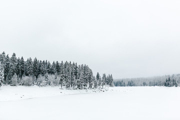 Snow Landscape